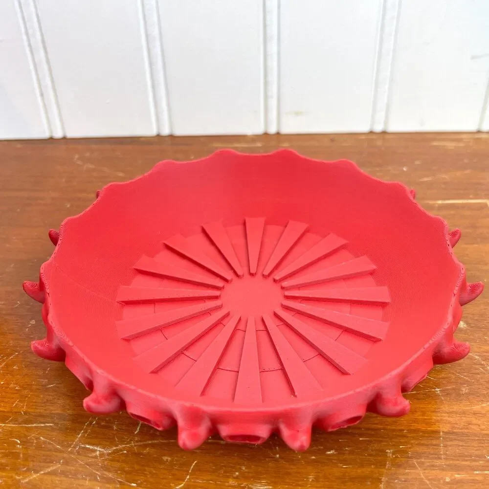 Barnacle Planter Pot, Indoor Flower Pot, Houseplants